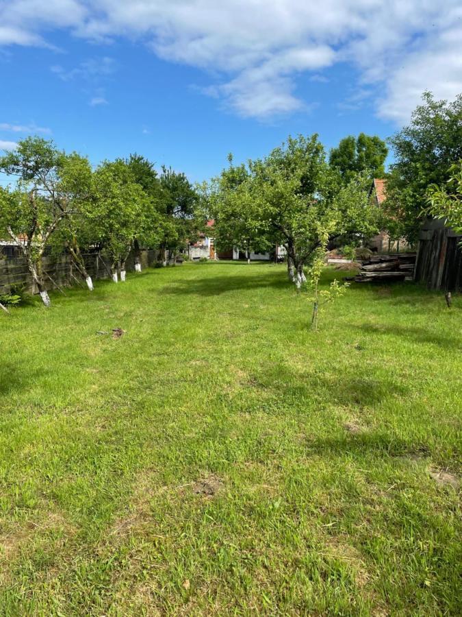 Villa La Mosu Porumbacu de Sus Esterno foto