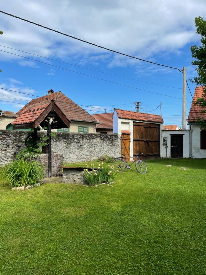 Villa La Mosu Porumbacu de Sus Esterno foto