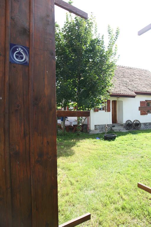 Villa La Mosu Porumbacu de Sus Esterno foto