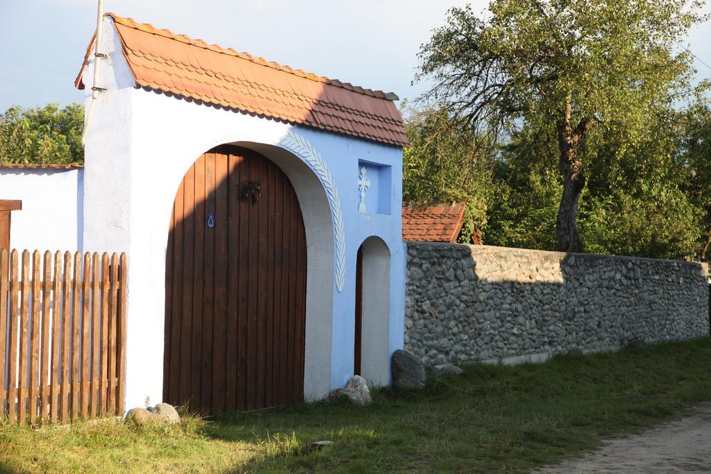 Villa La Mosu Porumbacu de Sus Esterno foto