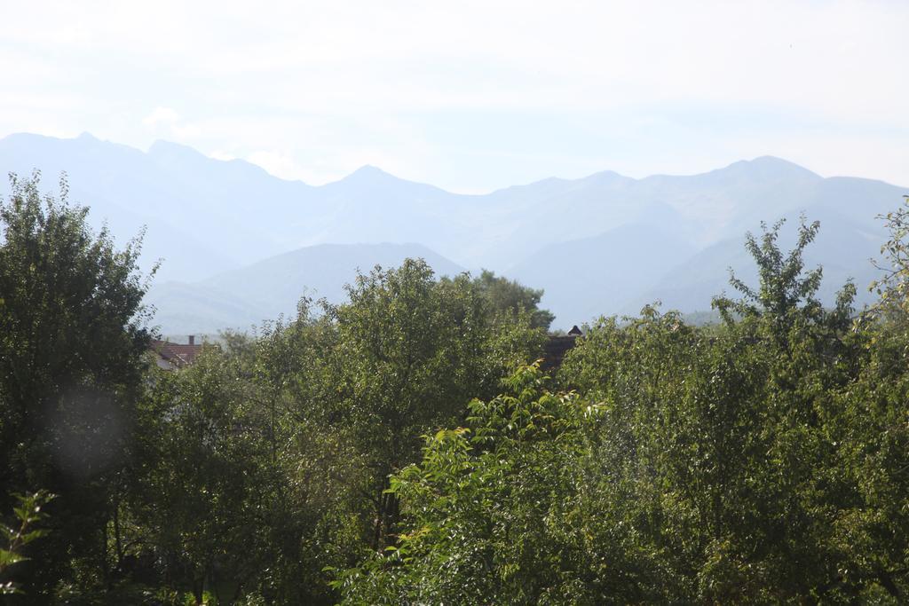 Villa La Mosu Porumbacu de Sus Esterno foto